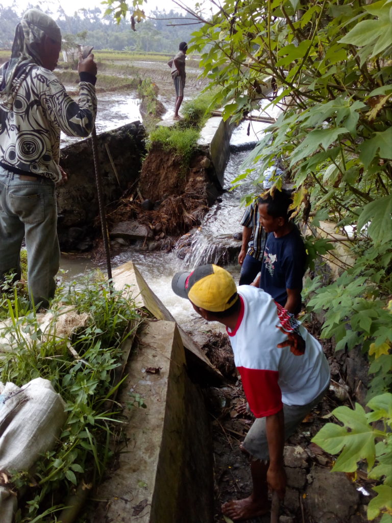 Warga Kadus 2 Secara Bergotong-royong Memperbaiki Saluran Irigasi Yang Rusak